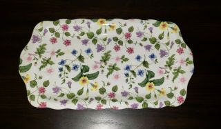 Rosina - Queens Country Meadow England Sandwich Biscuit Tray Floral Fine China