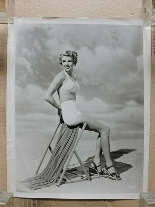 Pat Vaniyer Leggy Swimsuit Pinup Portrait Photo 1948 Easter Parade