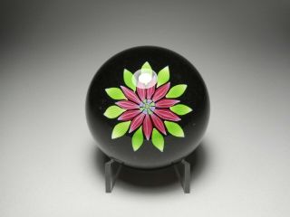 Perthshire P Cane & Label Art Glass Lampwork Flower Paperweight 1983 Pp54