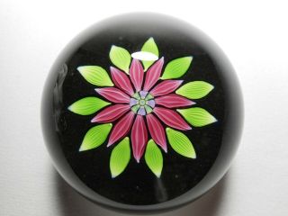 Perthshire P Cane & Label Art Glass Lampwork Flower Paperweight 1983 PP54 2