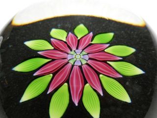 Perthshire P Cane & Label Art Glass Lampwork Flower Paperweight 1983 PP54 4