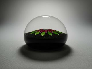 Perthshire P Cane & Label Art Glass Lampwork Flower Paperweight 1983 PP54 5