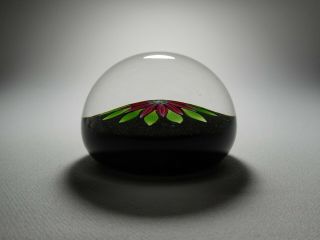 Perthshire P Cane & Label Art Glass Lampwork Flower Paperweight 1983 PP54 6