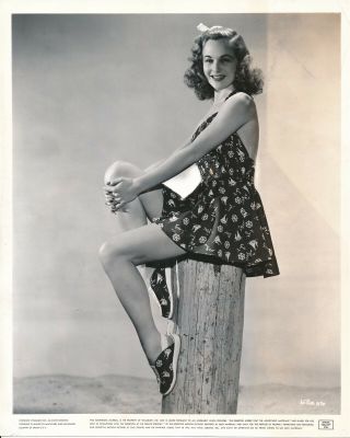 Lucille Fairbanks 1940 Warner Bros 8 X 10 Leggy Cheesecake Photo Vv