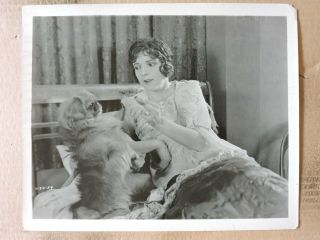 Alma Rubens With A Pekingese Dog Silent Photo 1924 Week End Husbands