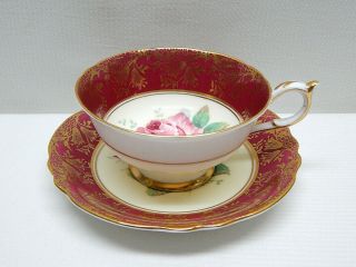Great Paragon Double Warrant Cabbage Rose Cup & Saucer w/ Gilded Border 4