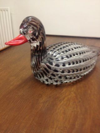 Rare Signed Licio Zanetti Glass Duck (Life Size) Black And Clear Glass 3