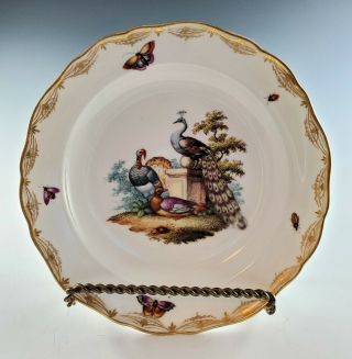 Antique Meissen Cabinet Plate Peacocks Butterflies,  Bugs Gold Scroll No Crazing