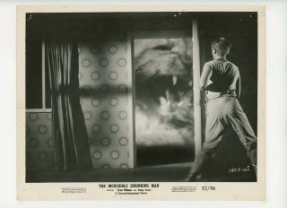 Incredible Shrinking Man Orig Movie Still 8x10 Horror,  Staple Holes 1957 16372