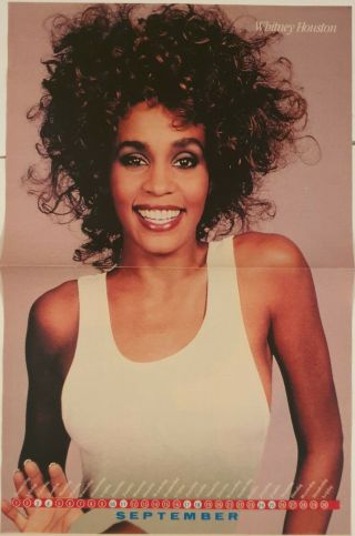 Clippings - MICHAEL JACKSON - WHITNEY HOUSTON - poster 10x16 inch S - 502 2