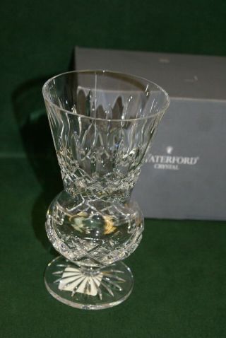 Waterford Crystal Lismore 7 Inch Thistle Vase 3