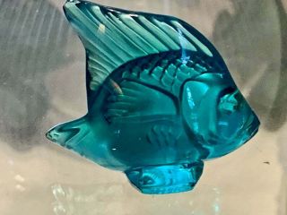 Lalique,  Crystal,  Turquoise Blue,  Angel Fish Figurine,  Signed,  Lalique,  France