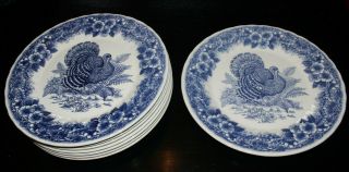 Churchill Myott " Thanksgiving " Turkey Blue - Set Of 8 Dinner Plates