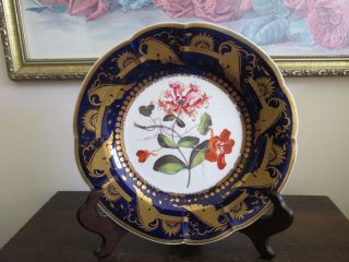 Antique 19 C Handpainted Cobalt Blue Cabinet Plate Gold Flowers Floral