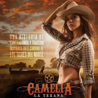 CAMELIA LA TEXANA,  SERIE MEXICO - USA 10 DVD,  60 CAPITULOS,  2014 2