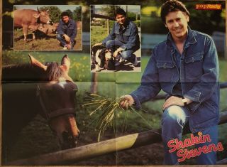 Clippings - Shakin Stevens - Poster 16x24 Inch - S - 416