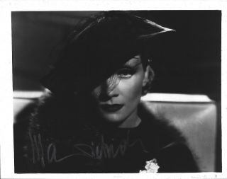 Marlene Dietrich Signed 8x10 Photo Todd Mueller