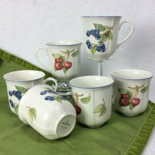 Set Of 6 Villeroy & Boch Cottage Porcelain Mugs Cherries Blueberries Cups 1748