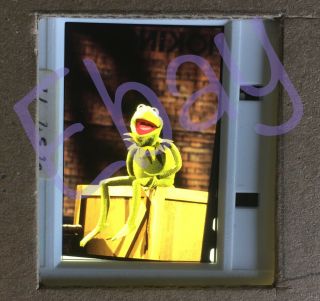 The Muppet Show Kermit 35 Mm Press Transparency Slide