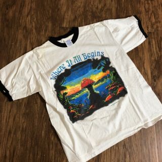 The Allman Brothers Band T - Shirt - Where It All Begins - Wild Oats Chicago Sz Xl