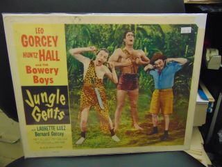 Leo Gorcey Huntz Hall The Bowery Boys Jungle Gents 11x14 " Lobby Card L8626