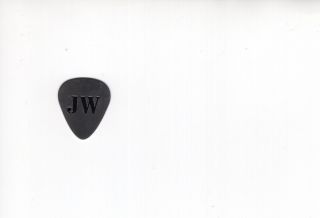 Joe Walsh Authentic Steel Guitar Pick From 2014 Tour Very Rare Eagles