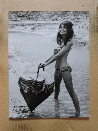 Janet Shapiro Leggy Bikini Pinup Portrait Photo By Lothar Winkler 1960s
