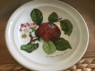 Portmeirion Pomona Salad Bowls Six Apple Cherry Apricot Plum 2