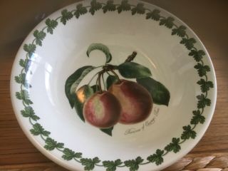 Portmeirion Pomona Salad Bowls Six Apple Cherry Apricot Plum 7