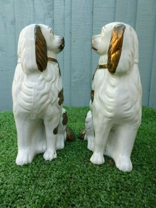 PAIR: 19thC STAFFORDSHIRE COPPER LUSTRE & WHITE SPANIEL DOGS c1890s 7