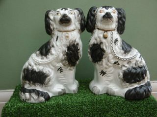 Pr 19thc Staffordshire Black & White Spaniel Dogs In Sitting Pose C.  1860