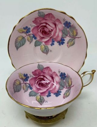 Pargon Queen Mary Large Cabbage Rose On Pink Tea Cup & Saucer Gold Trim Bone