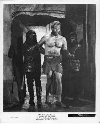 Planet Of The Apes Charlton Heston Bare Chested With Gorillas Photo