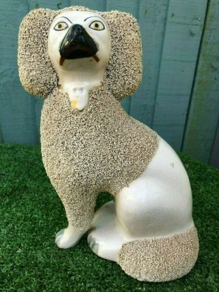 Stunning Mid 19thc Staffordshire Poodle Dog With Separate Front Legs C1860s