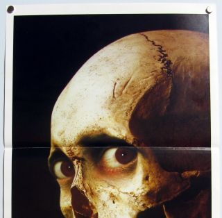 EVIL DEAD 2 DEAD BY DAWN Bruce Campbell SAM RAIMI HORROR CLASSIC Daybill 1987 2