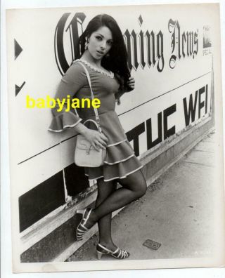 Jasmina Hamzavi Orig 8x10 Photo Pinup In Mini Dress 1969 All Neat In Black Stock