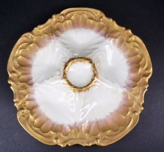 Limoges Lr&l And Coiffe Marked Oyster Plate Gold And Cream Porcelain - D