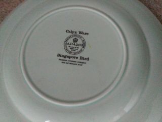 5 Adams Calyx Ware England SINGAPORE BIRD Dinner Plates 10” Wedgewood (23C) 8