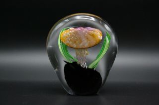 KAHL Glass Studio Jellyfish Art Glass Paperweight 2