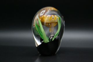 KAHL Glass Studio Jellyfish Art Glass Paperweight 3