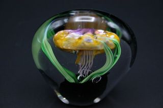 KAHL Glass Studio Jellyfish Art Glass Paperweight 4