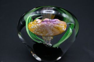KAHL Glass Studio Jellyfish Art Glass Paperweight 5