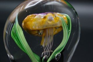 KAHL Glass Studio Jellyfish Art Glass Paperweight 6