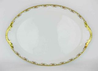 Limoges France Vignaud The Meuse Large Platter 16 - 1/2 " (rust & Yellow) 1928