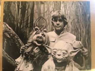 Frank Oz Signed Autograph 8x10 Photo Star Wars Yoda Muppets Rare