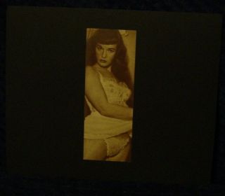 Vintage Press Photo Alluring Arresting Betty Page Museum Find Foxy Sexy 2