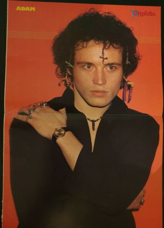 Clippings Cuttings - Adam Ant - Poster 10x16 Inch - S - 294