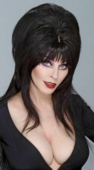 Elvira Mistress Of The Dark Or Bust Fridge Magnet 2.  5 " X 4.  5 "