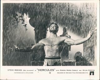 Hercules Steve Reeves Barechested Lobby Card Le Fatiche Di Ercole