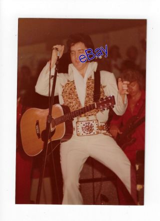 Elvis Presley Kodak Concert Photo - Cc Rider 1977 - Jim Curtin Vintage
